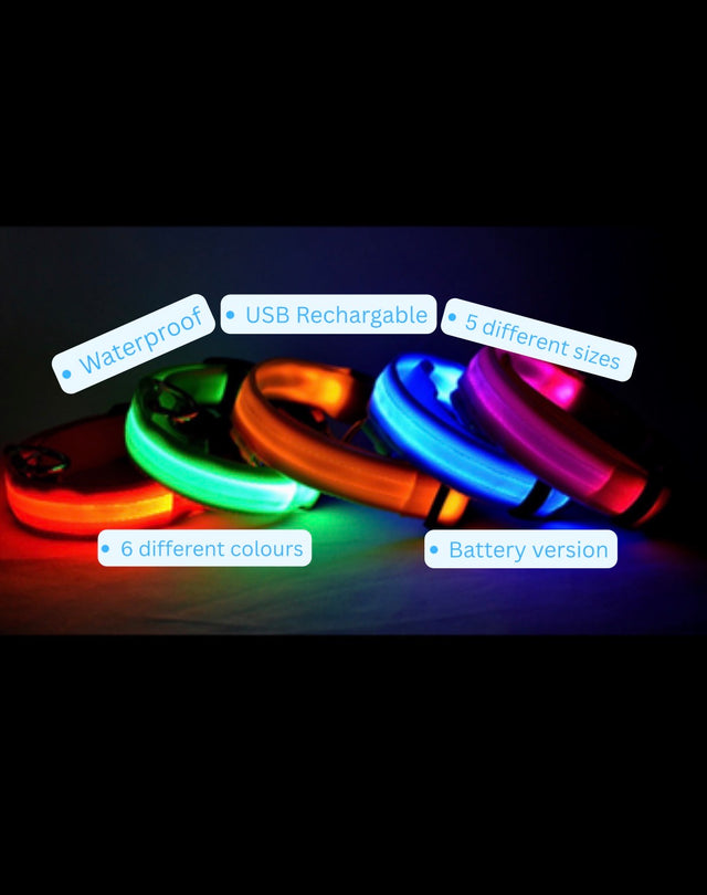 LED Dog Collar Australia | GlowGuard Safety Collar